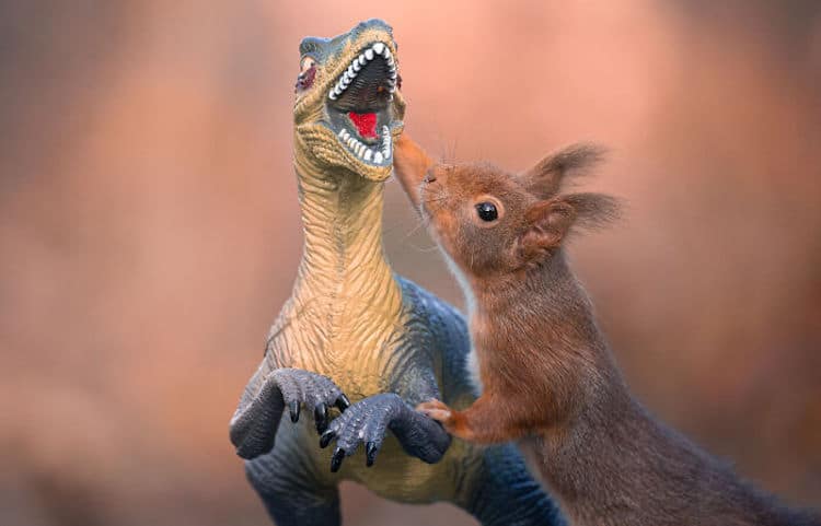 Squirrel and Dinosaur Photos by Niki Colemont