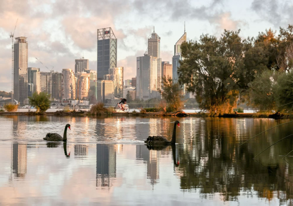 Birdlife Australia Photography Awards Winners 21