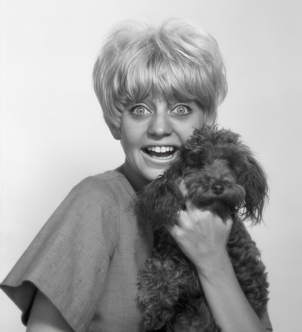 Goldie Hawn Short Hair 19 