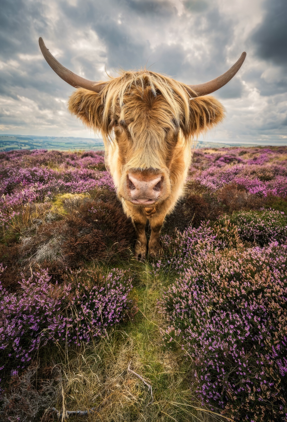 Winners International Nature Photo Awards 2023 4 