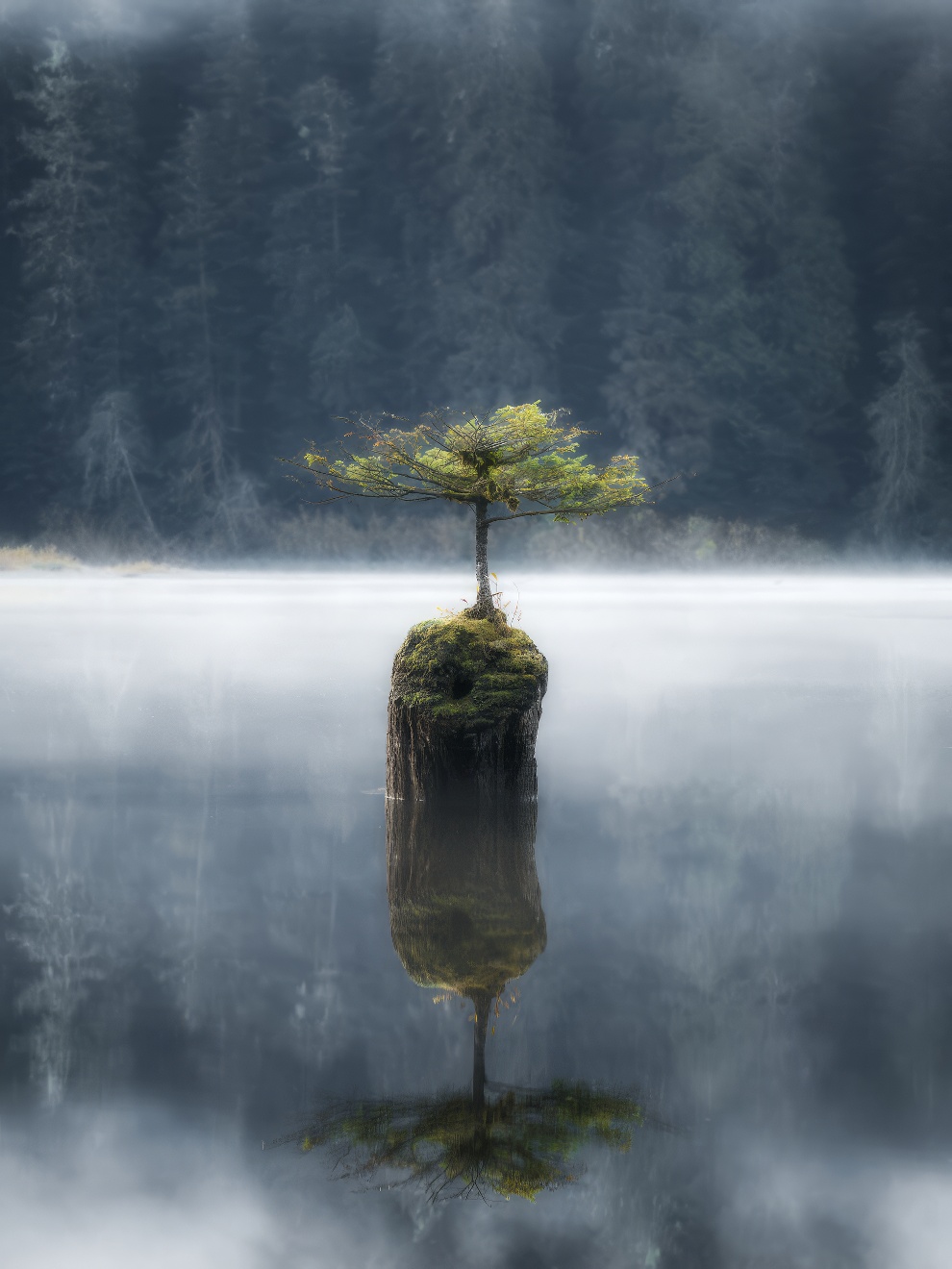 Winners International Nature Photo Awards 2023 8 