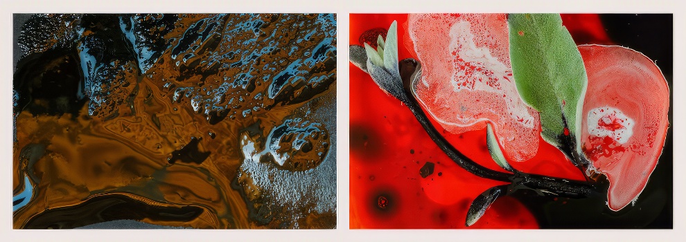 Winners International Nature Photo Awards 2023 14 