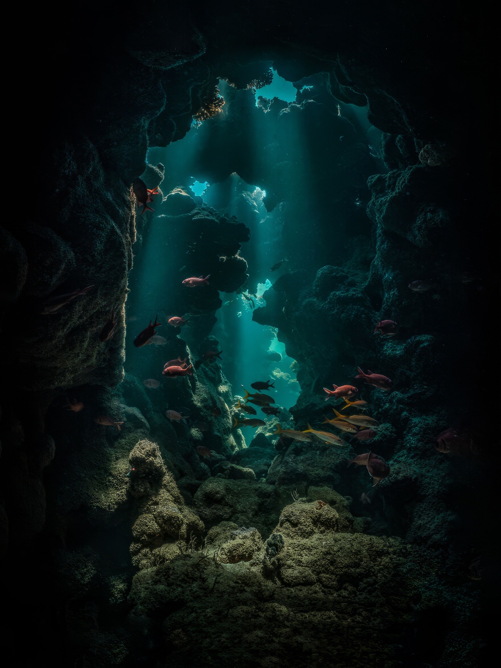 Winners International Nature Photo Awards 2023 16 