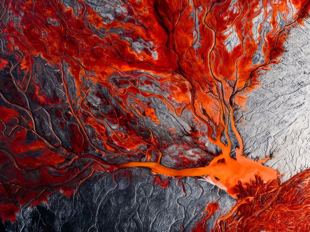 Winners International Nature Photo Awards 2023 19 
