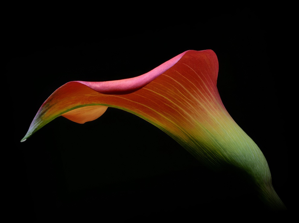 Winners International Nature Photo Awards 2023 20 