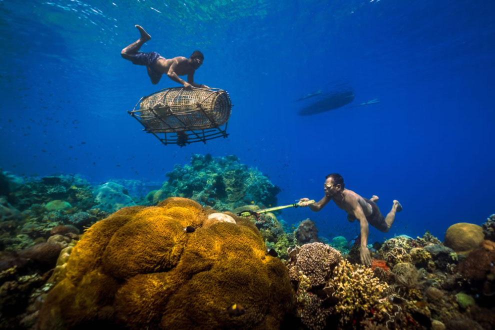 Environmental Photographer Of The Year Winners 10