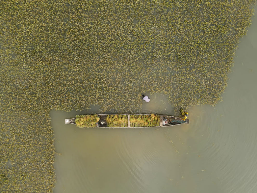 Environmental Photographer Of The Year Winners 11