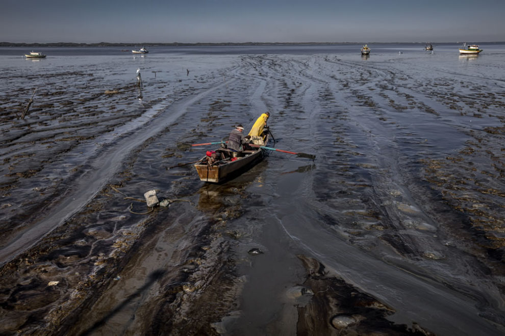 Environmental Photographer Of The Year Winners 13