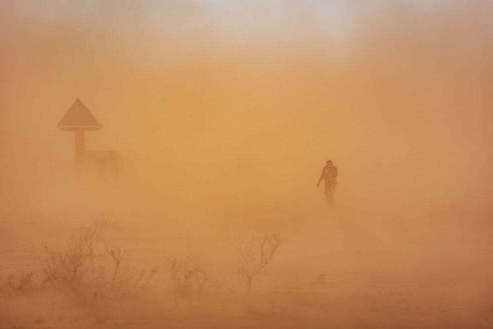 Environmental Photographer Of The Year Winners 19