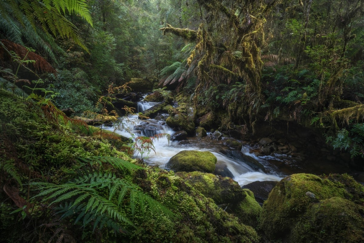 2023 Natural Landscape Photography Awards