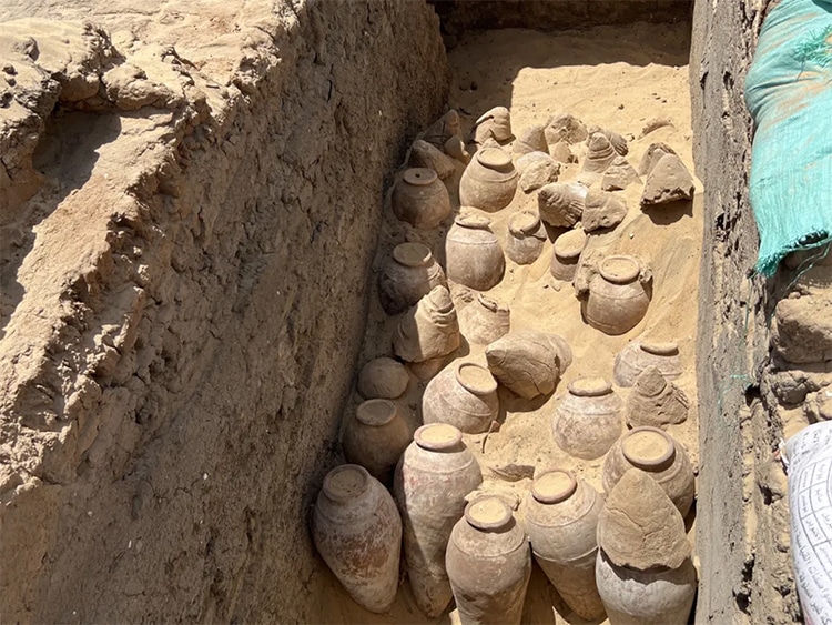 5,000-Year-Old Unopened Wine Jars Found in Queen’s Tomb