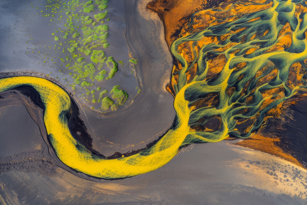 Winners International Nature Photo Awards 2023 1 