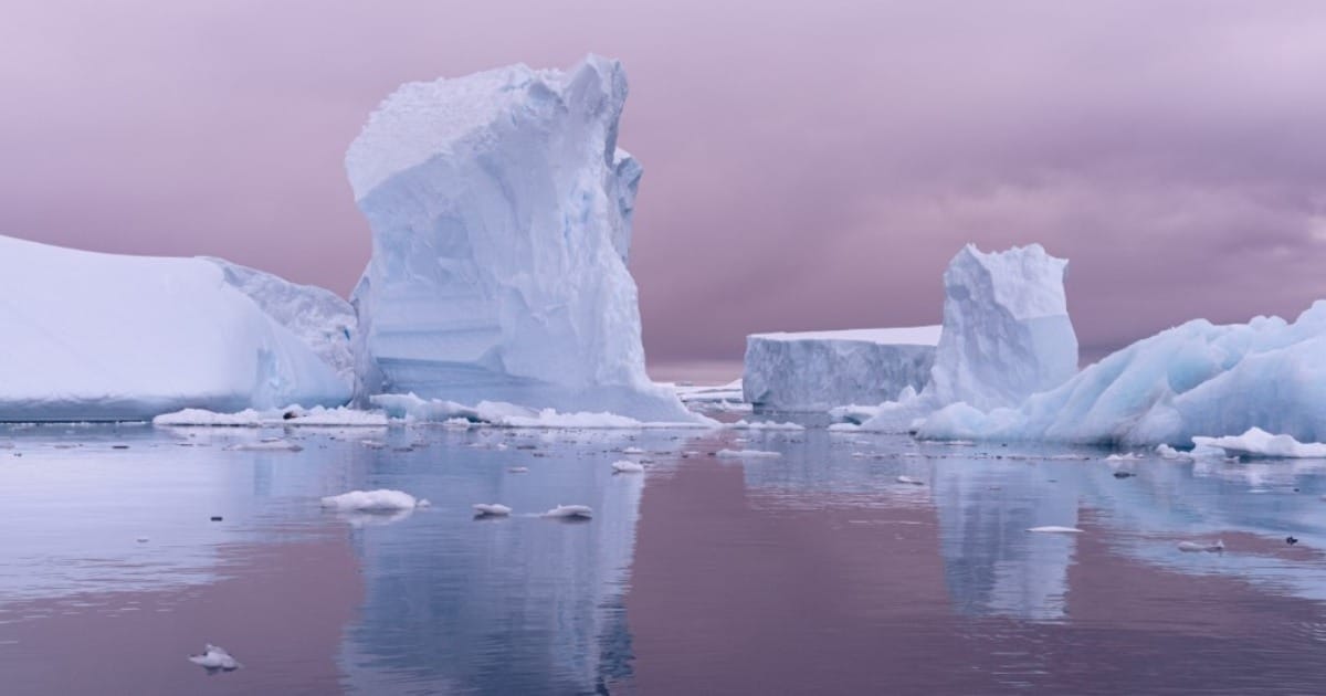 cristina-mittermeier-antarctica-thumbnail.jpg - ViralBandit