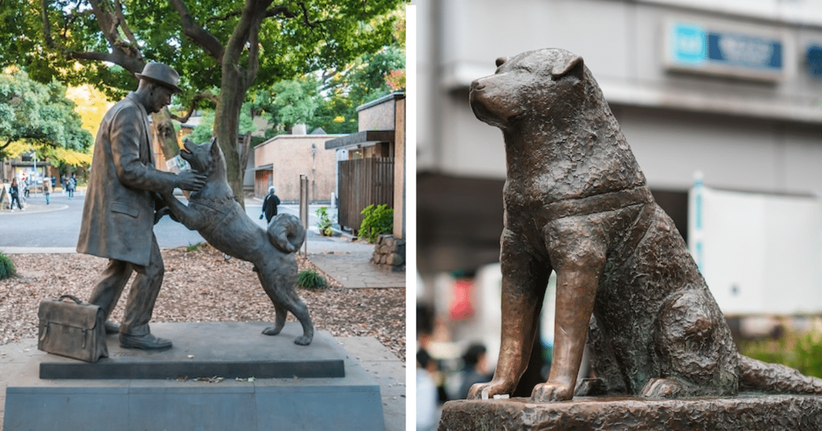 hachiko-dog-100-years-old-thumbnail.png - ViralBandit