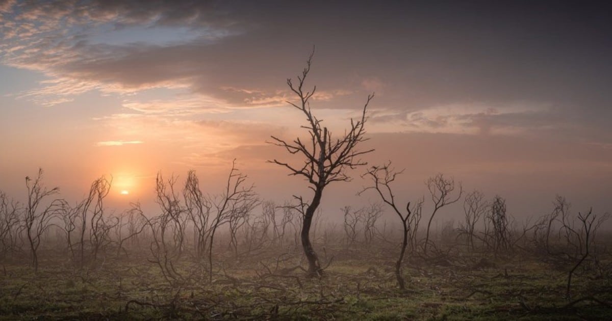 uk-landscape-photographer-year-thumbnail.jpg - ViralBandit