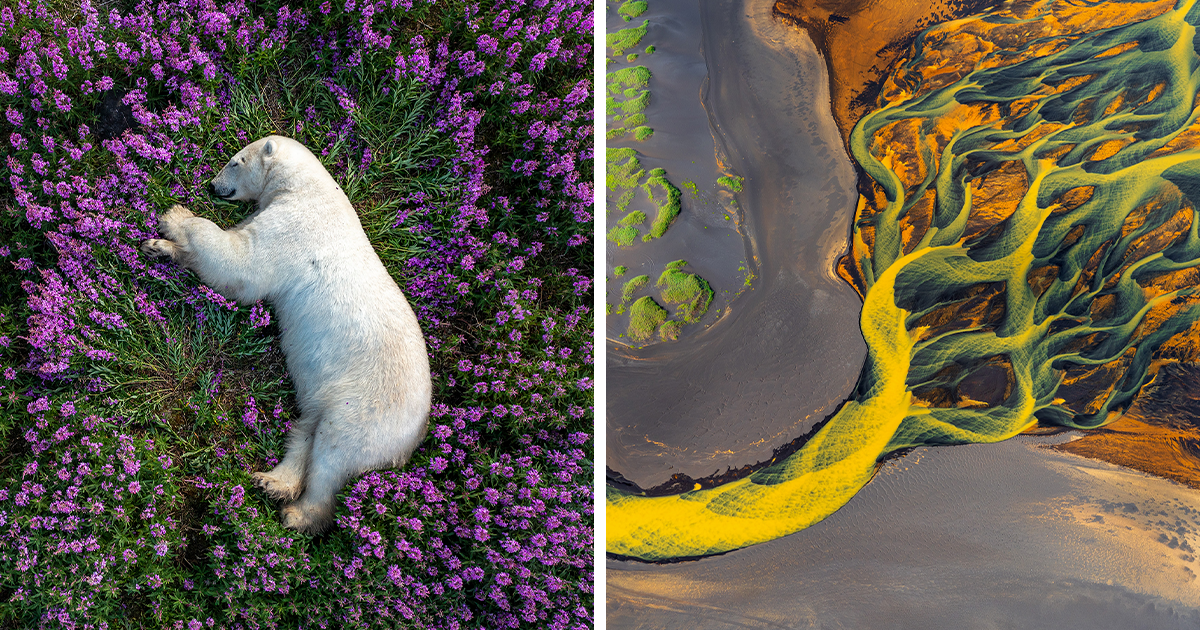 20 Winning Images From The International Nature Photography Awards 2023 That Might Soothe your Soul