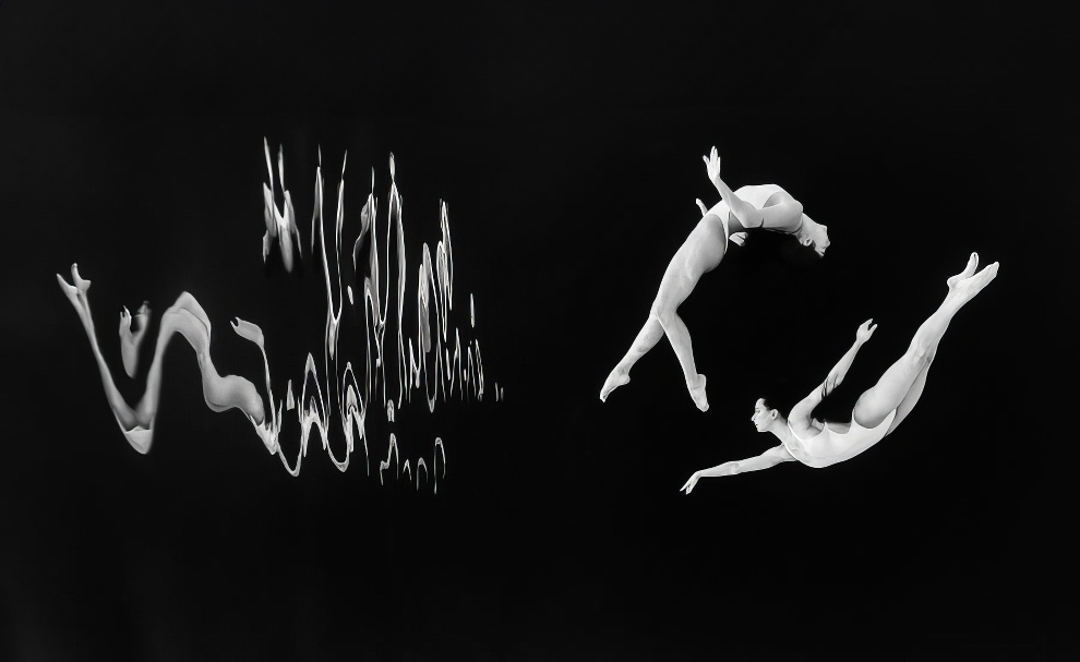 Spectacular Winning Photos From The Underwater Photographer Of The Year 2024 » Design You Trust