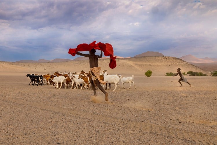 Steve McCurry Exhibition at Cavalier Gallery in New York and Greenwich