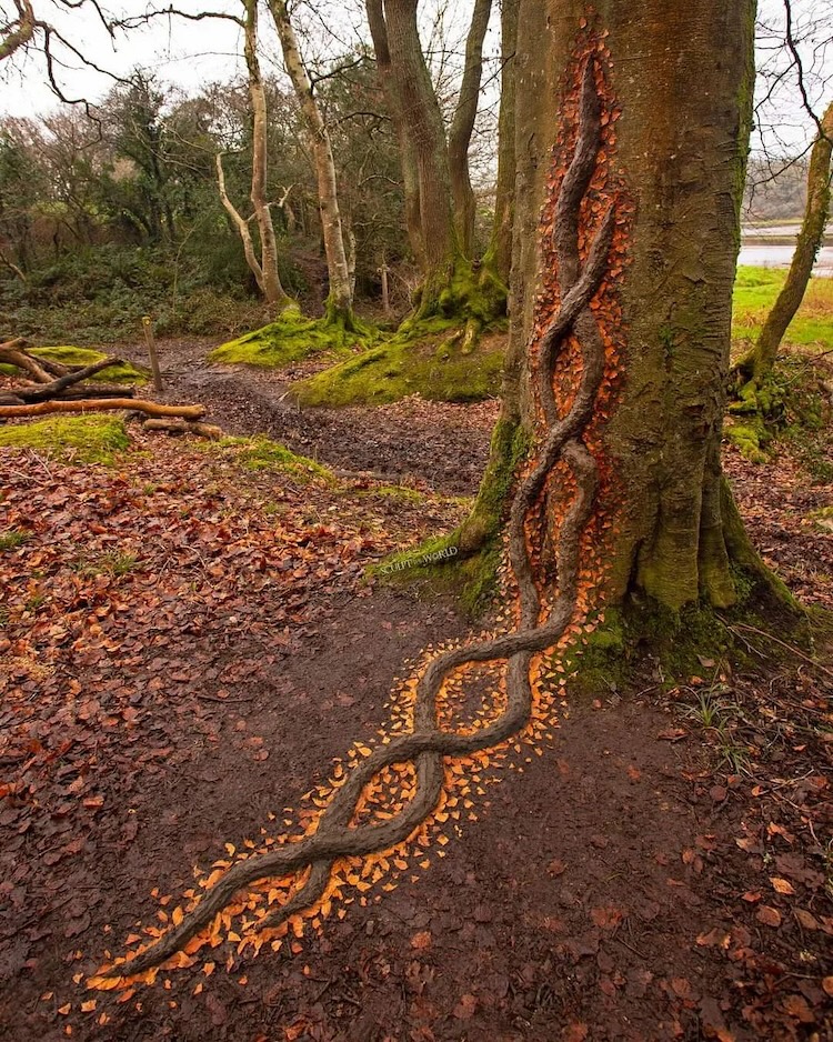 Land Art by Jon Foreman