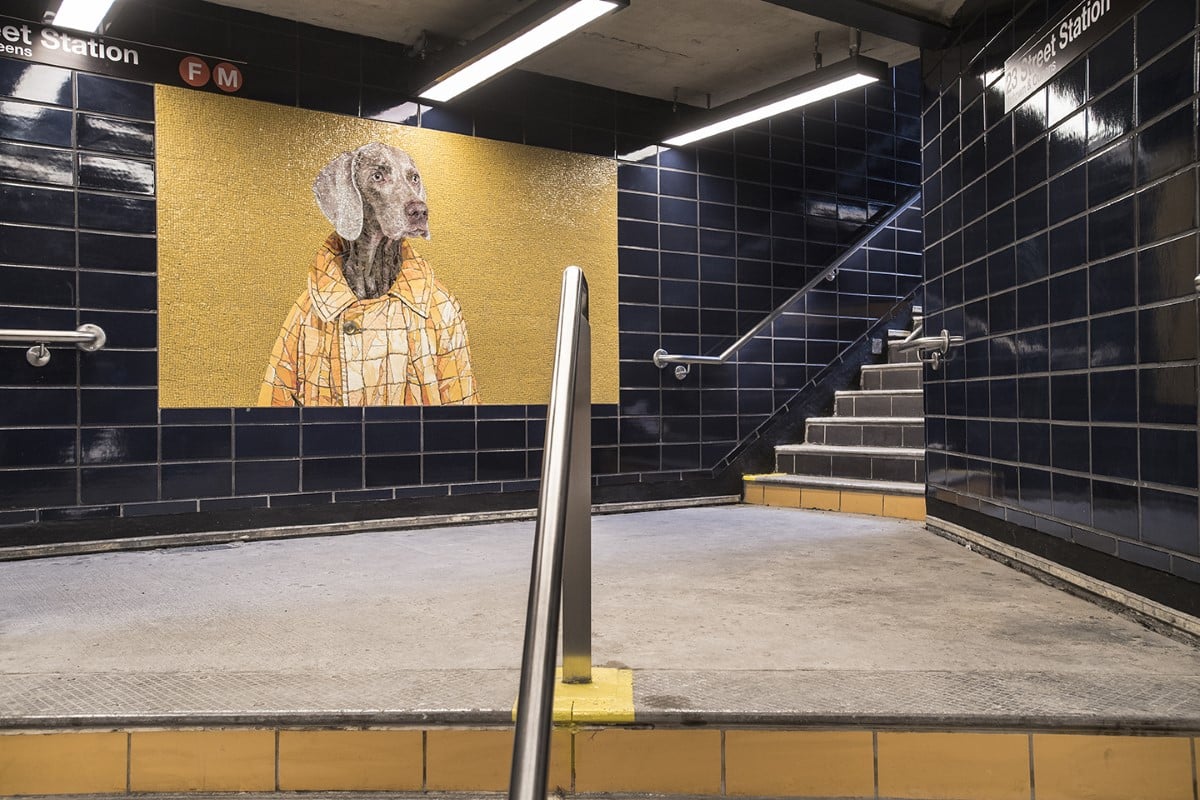 NYC Subway Art by William Wegman