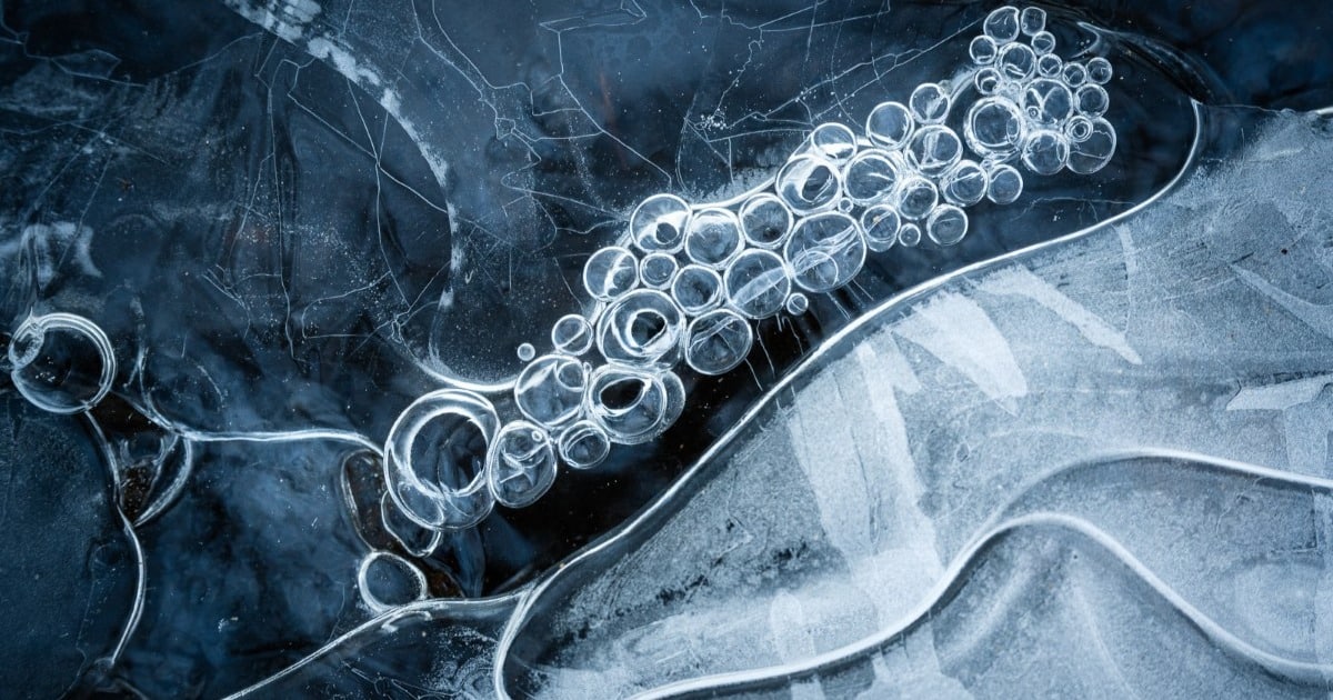 Stunning Macro Photos Pay Homage to the Frozen Beauty of Winter