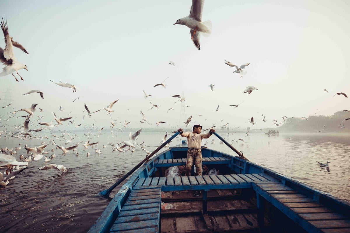 Boy rowing a boat in Dehli with birds flying around